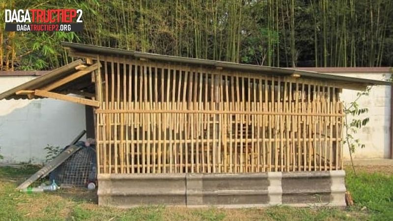 Cách làm chuồng cho gà bằng tre