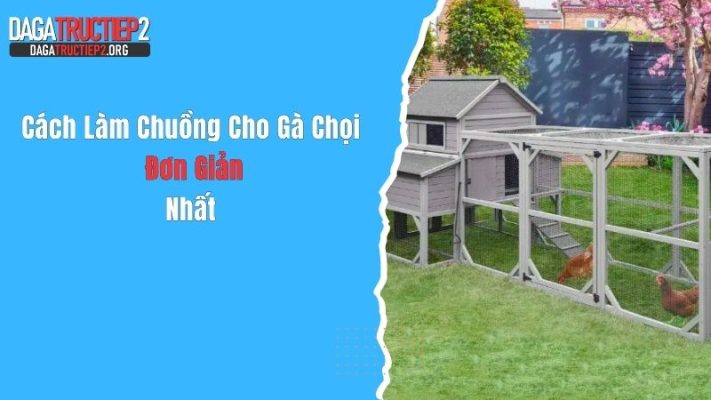 Cách Làm Chuồng Cho Gà Chọi Đơn Giản Nhất