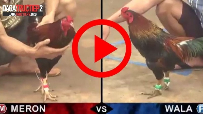 Giới thiệu các chức năng chính trên nền tảng Dagatructiep2