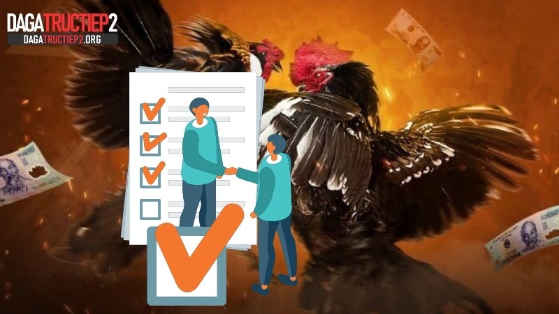 Mục đích của điều kiện và điều khoản Dagatructiep2