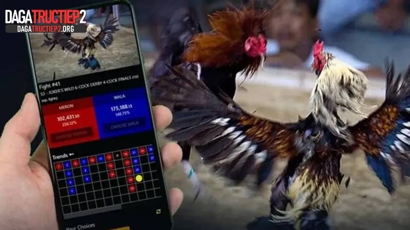 Những sai lầm phổ biến khiến người mới trắng tay