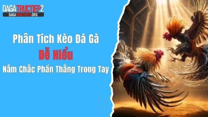 Phân Tích Kèo Đá Gà Dễ Hiểu, Nắm Chắc Phần Thắng Trong Tay