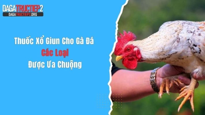 Thuốc Xổ Giun Cho Gà Đá - Các Loại Được Ưa Chuộng